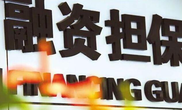 关于印发融资担保公司非现场监管规程的通知